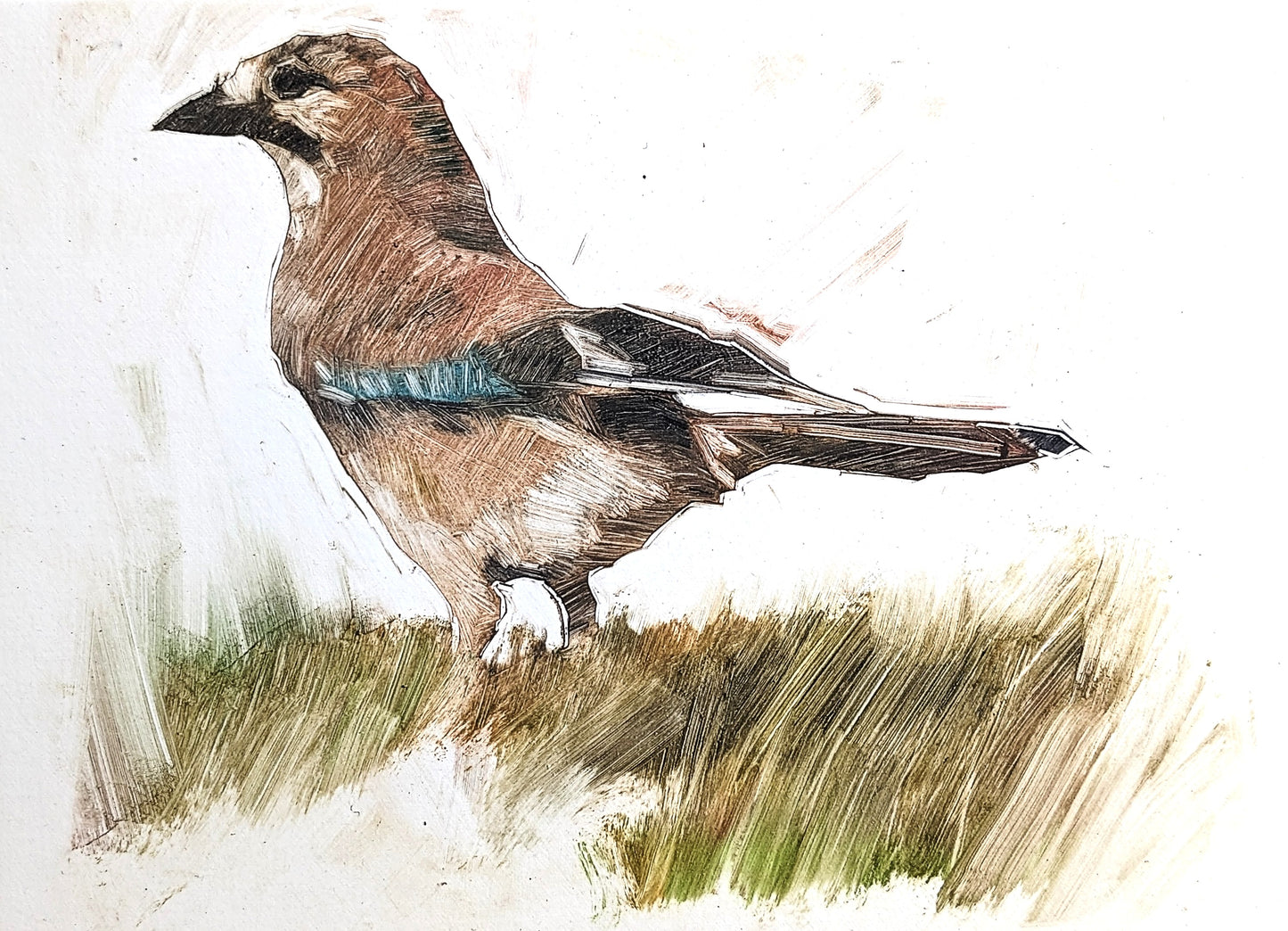 Searching for Acorns