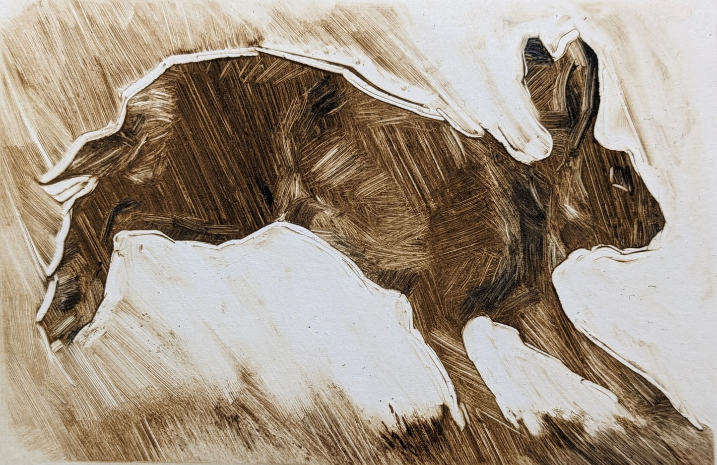 Hare