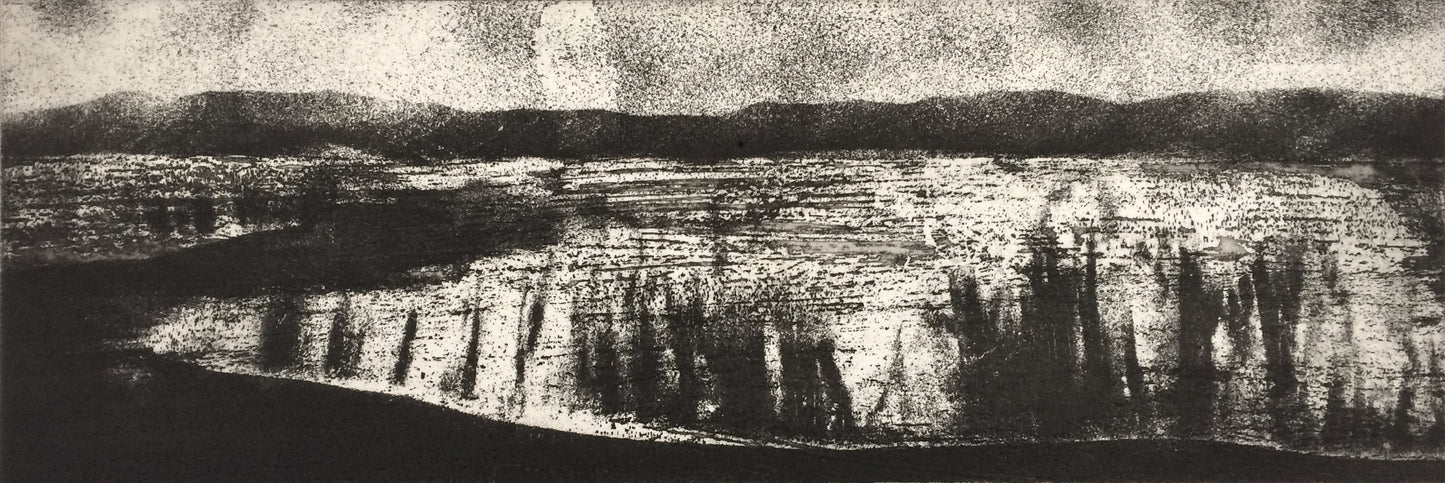 Meadow I