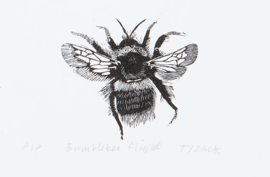 Bumblebee, Flight