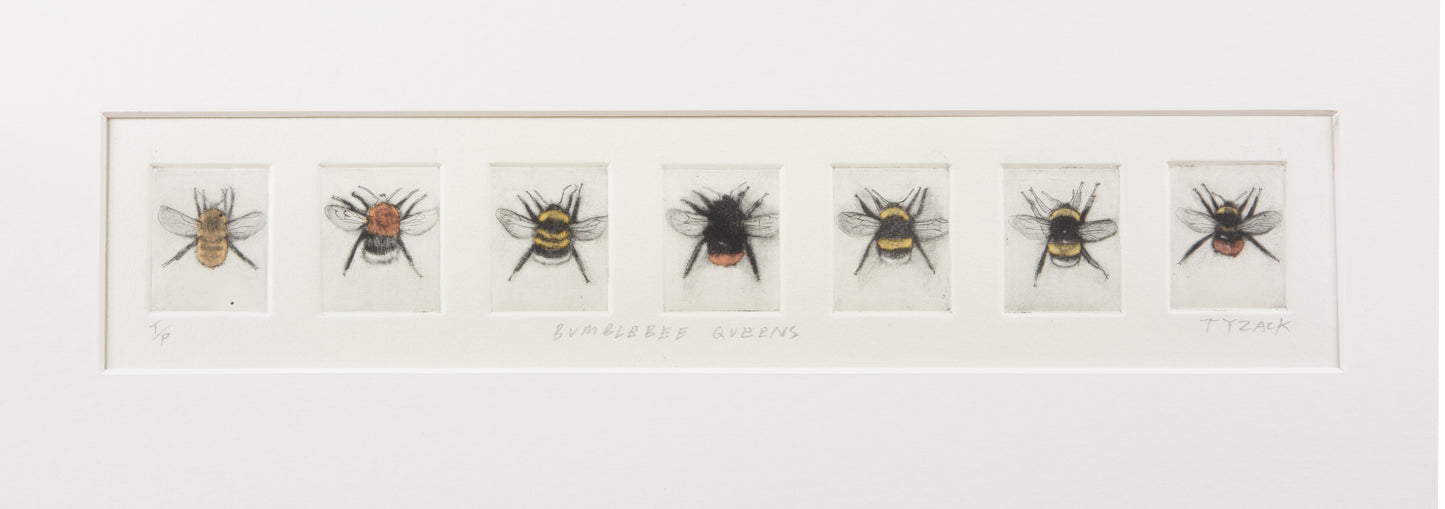 Bumblebee Queens