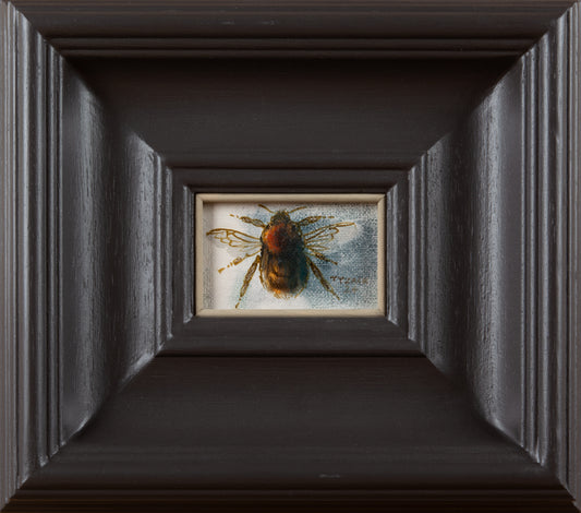 Carder Bee II