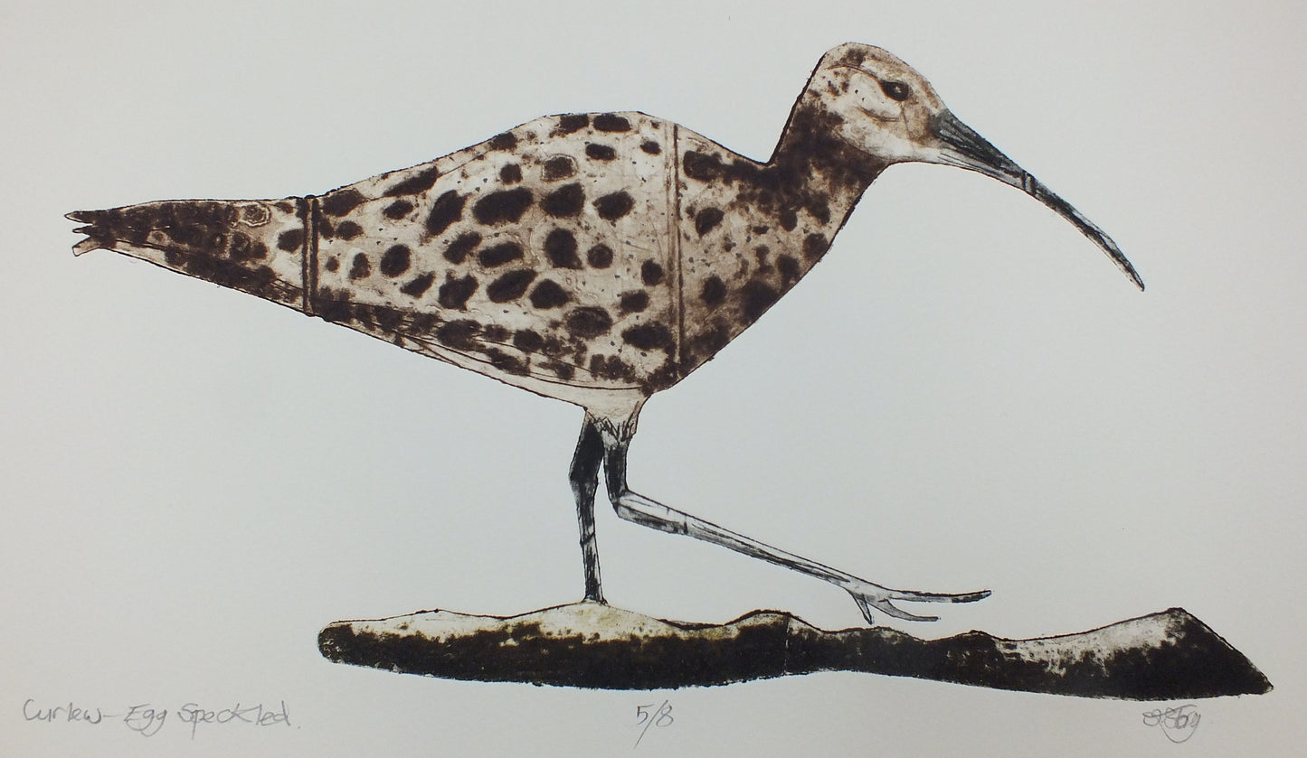Curlew - Egg Speckled
