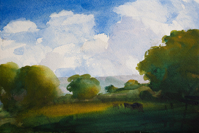 A distant ridge with Cows in shade