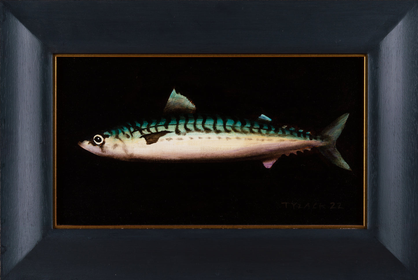 Mackerel XXX