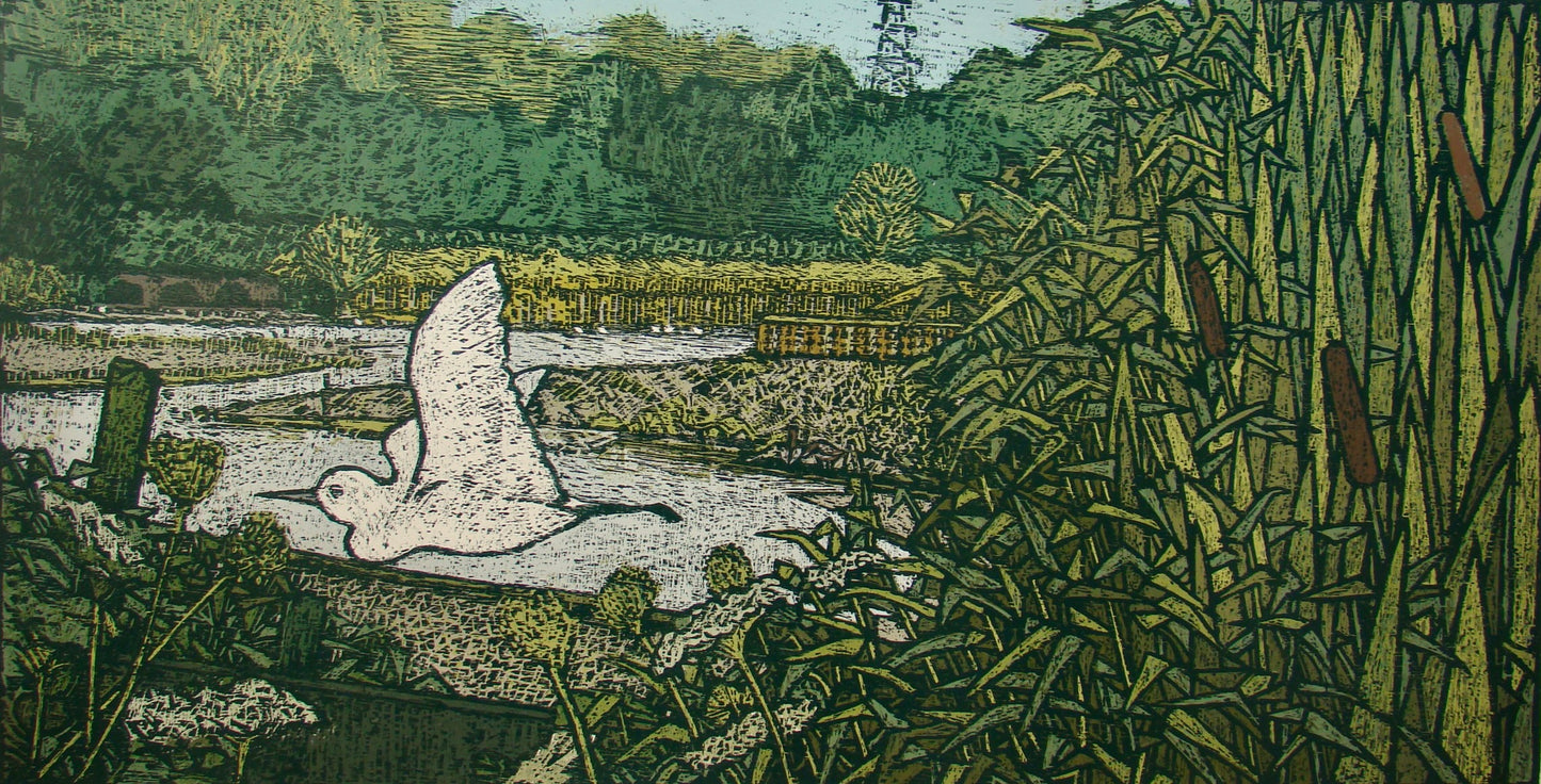 Dearne - RSPB Old Moor South Yorkshire