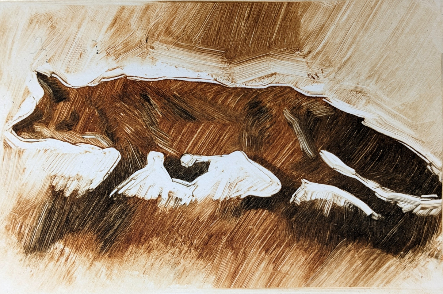 Fox