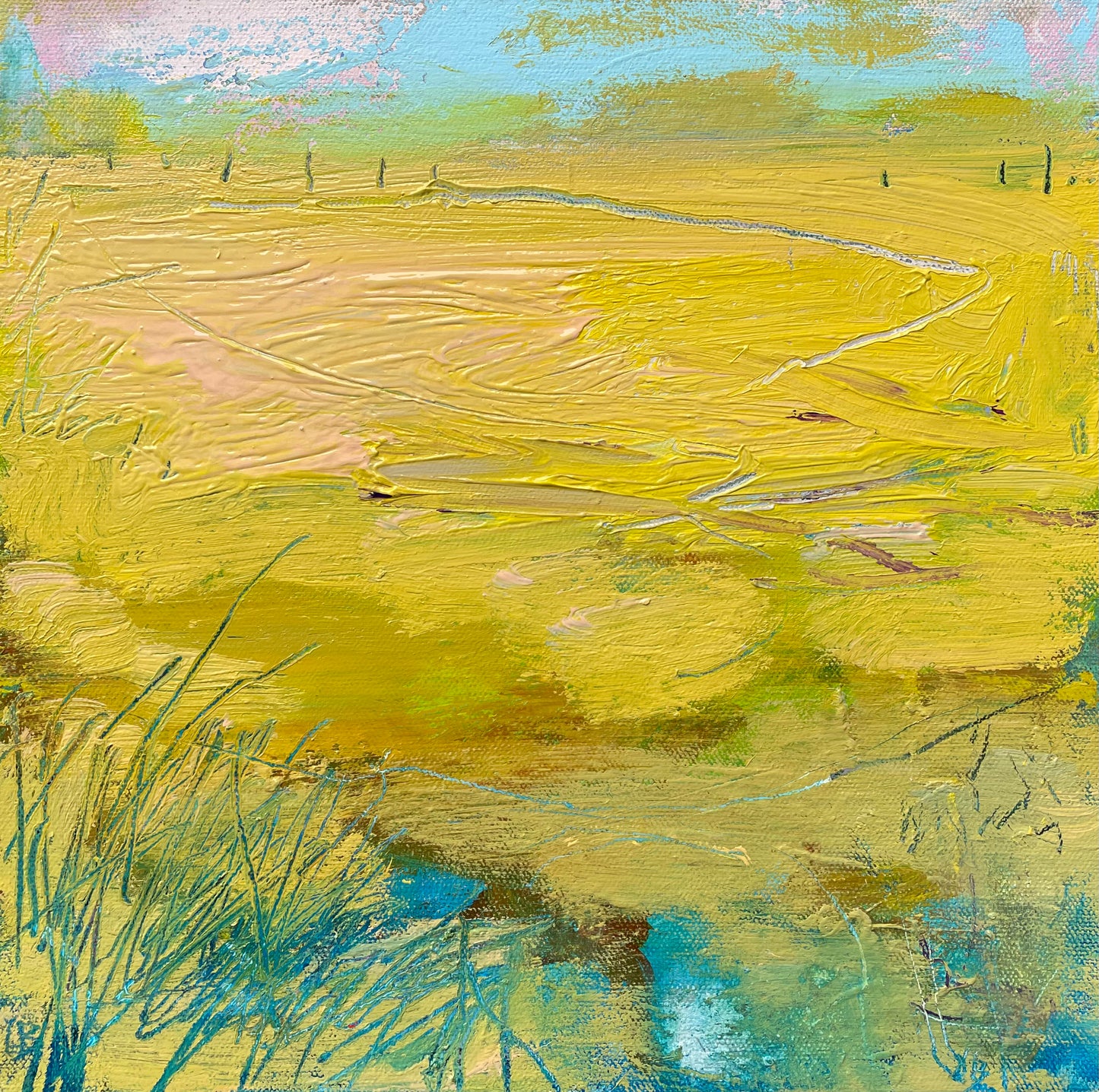 Fields after Sun