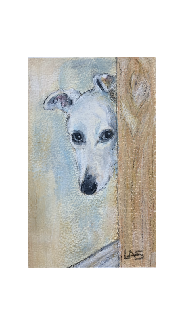 White Lurcher at Door