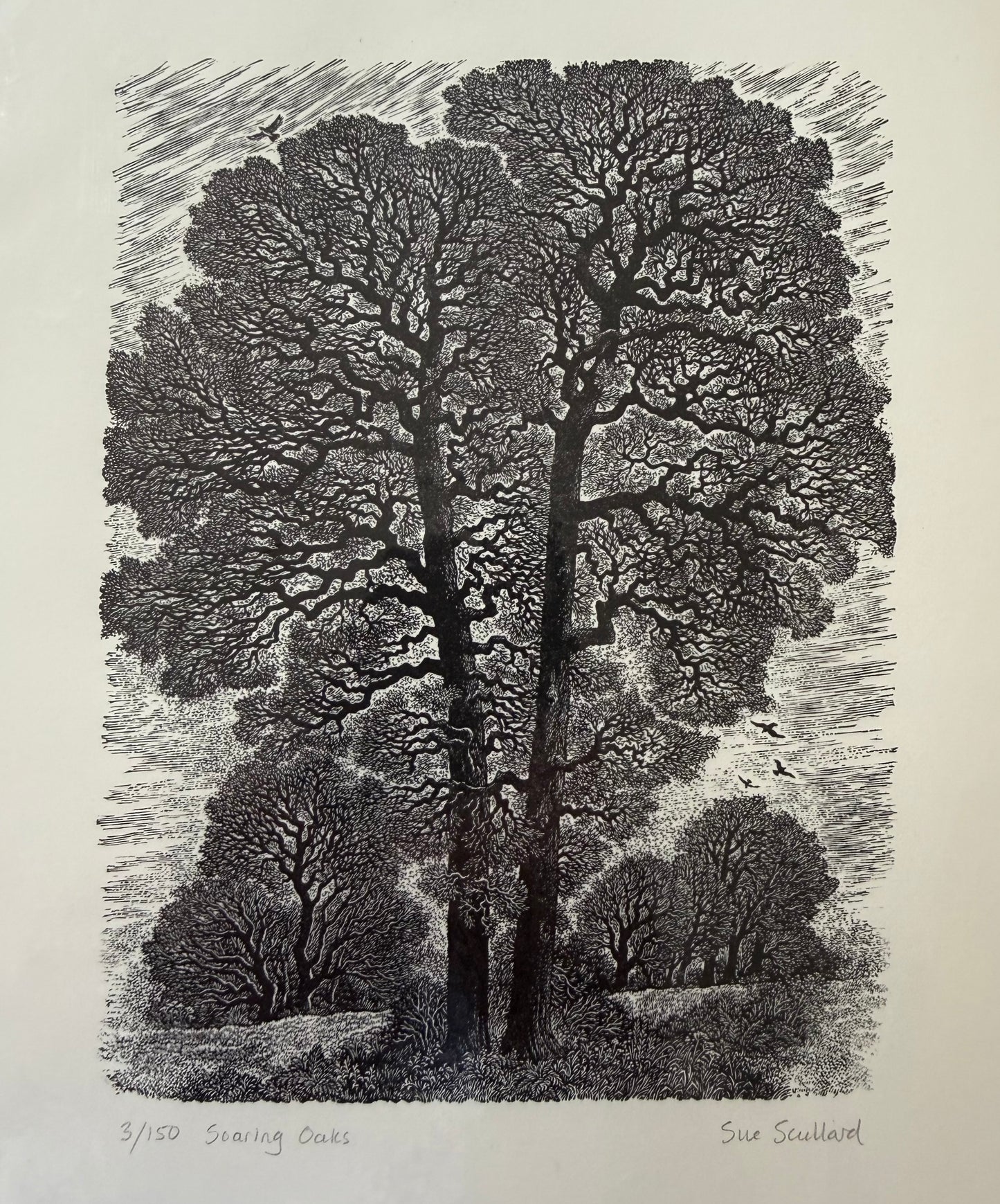 Soaring Oaks