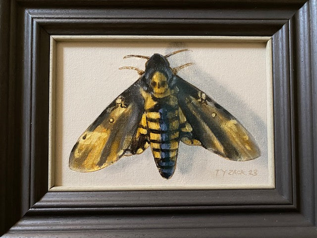 Death's Head Hawkmoth