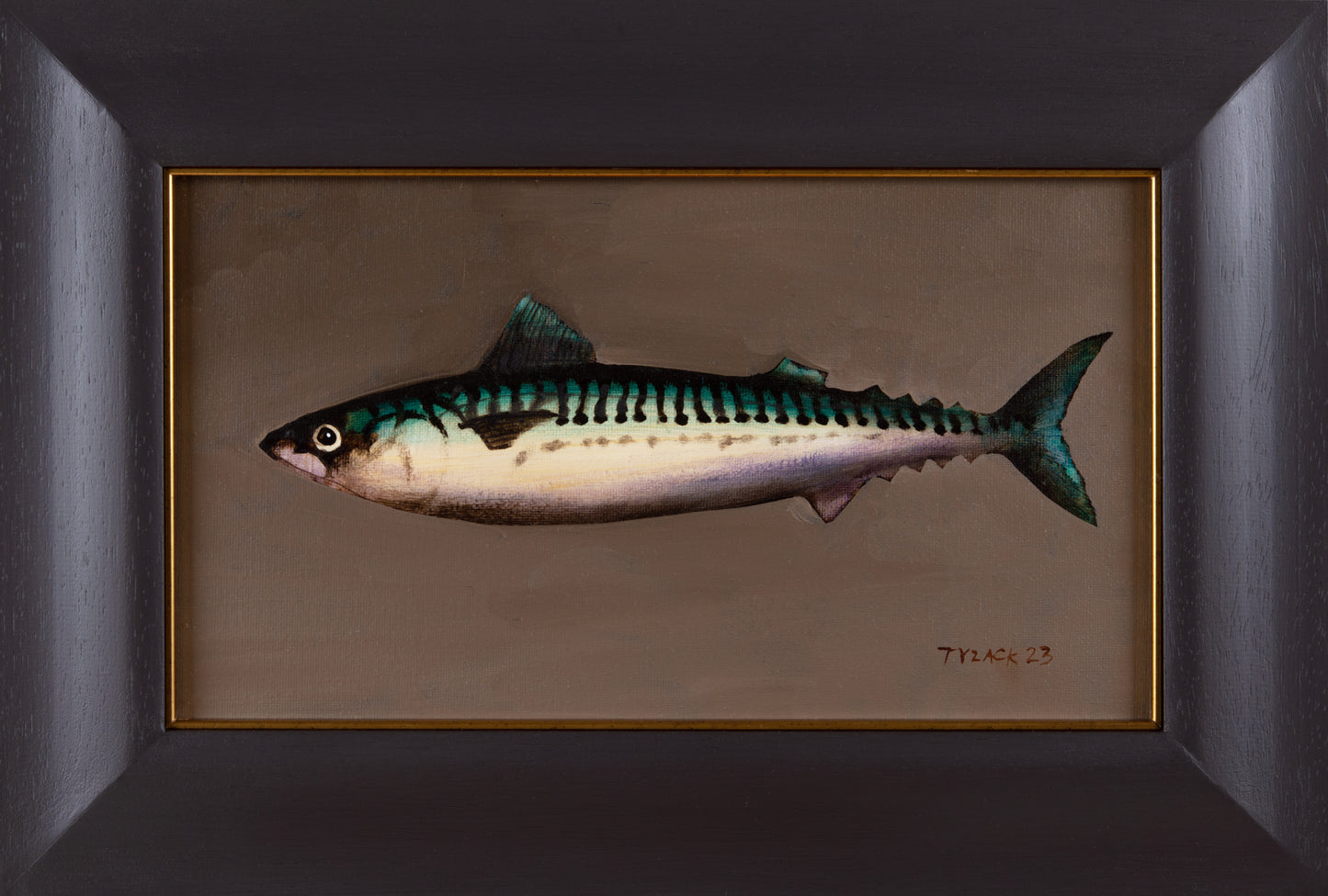 Mackerel XXV