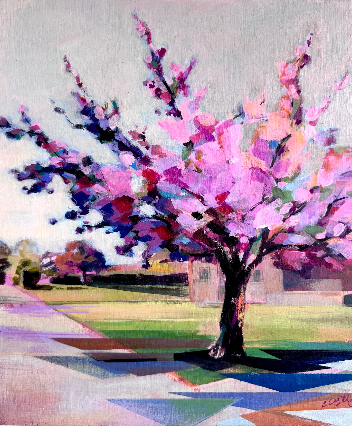 May blossoms in Main Street