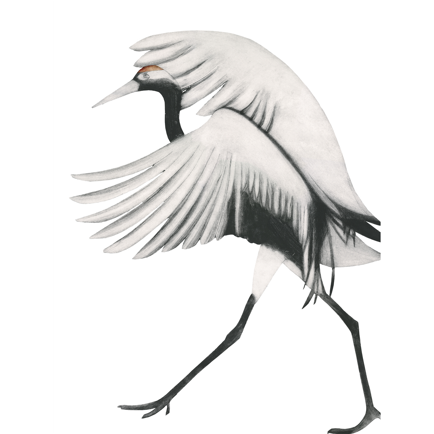 Red Crowned Crane