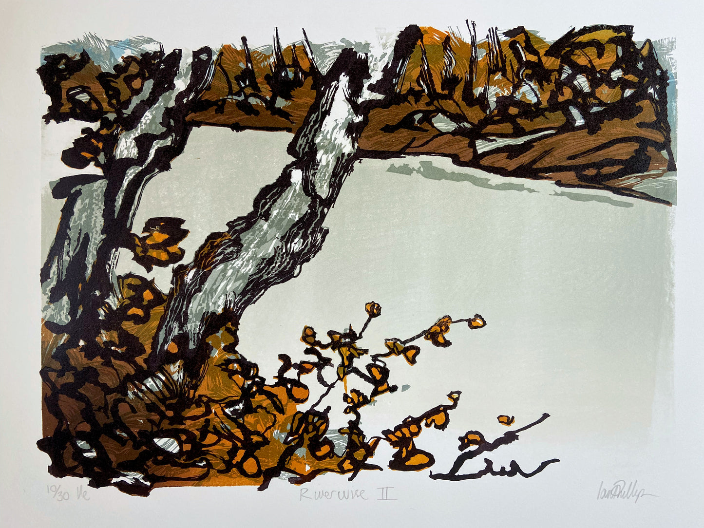 Riverwise II
