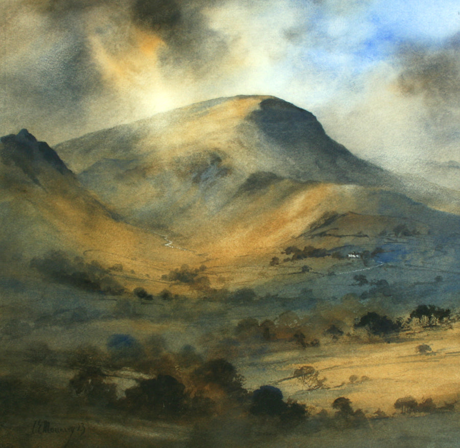 Robinson