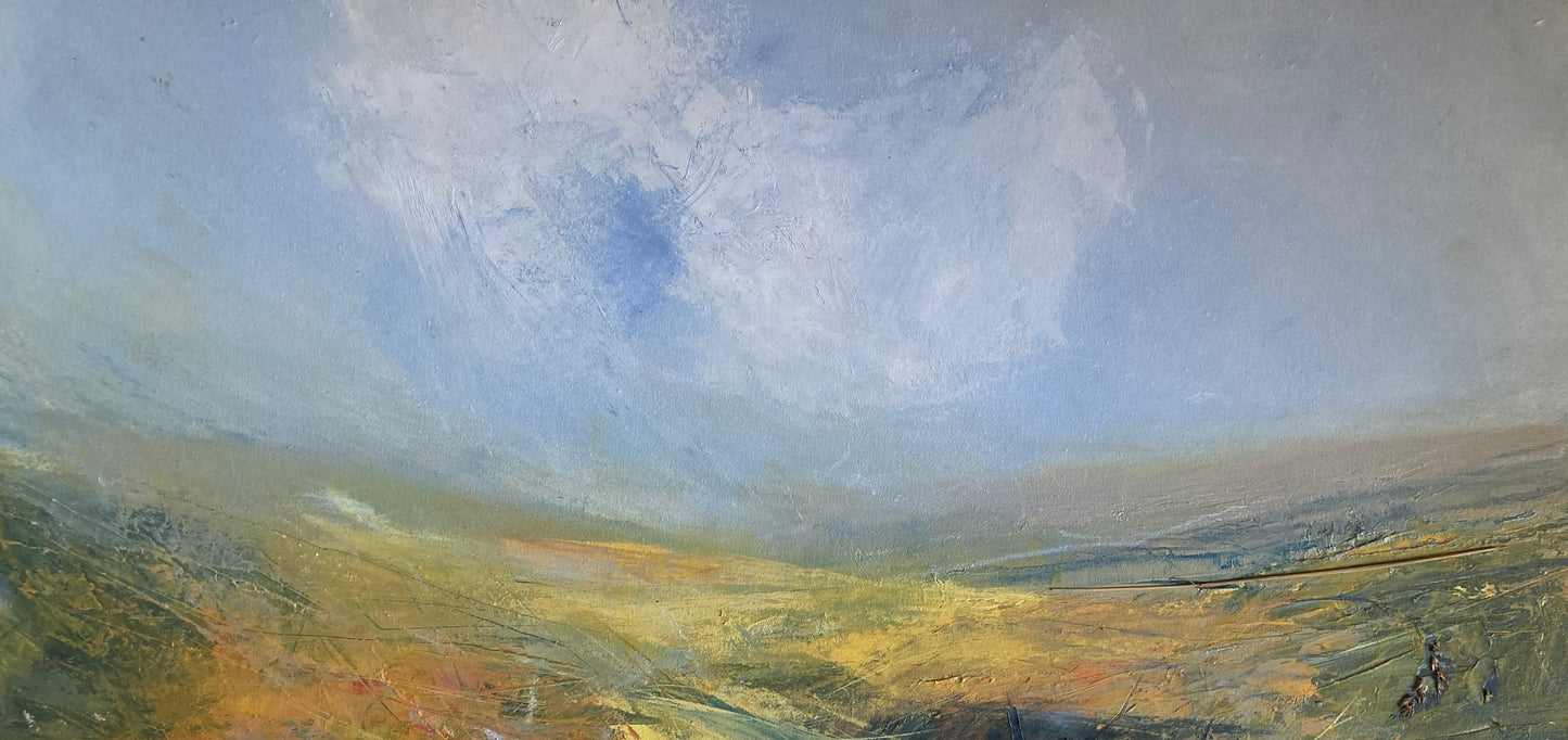 Summer on the moor