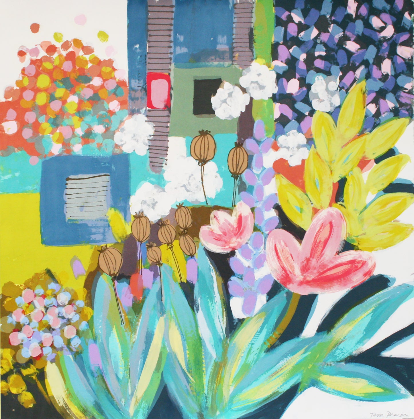 Pink Poppy Seedhead Garden