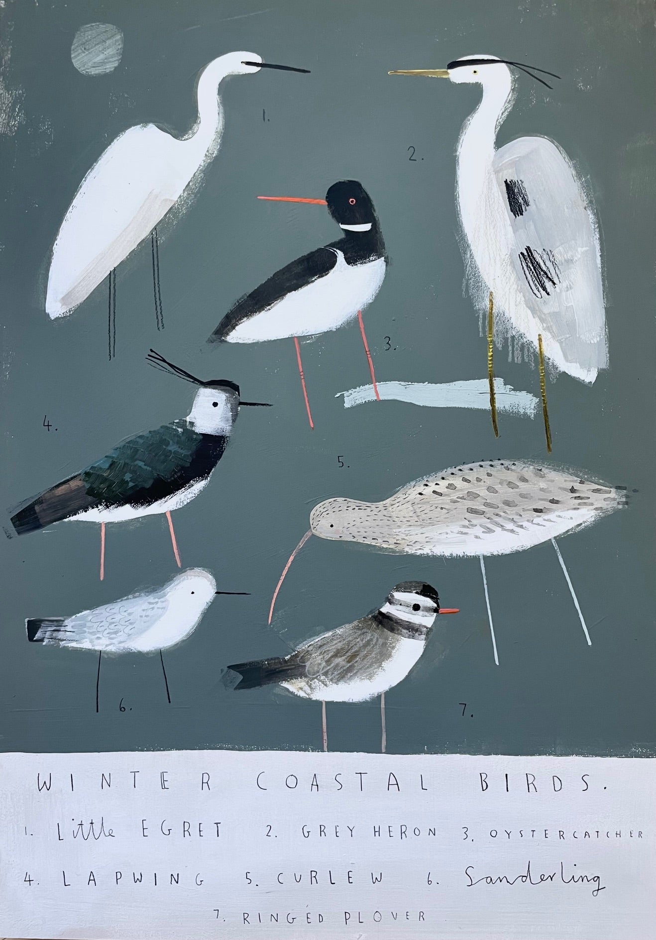 Winter Coastal Birds