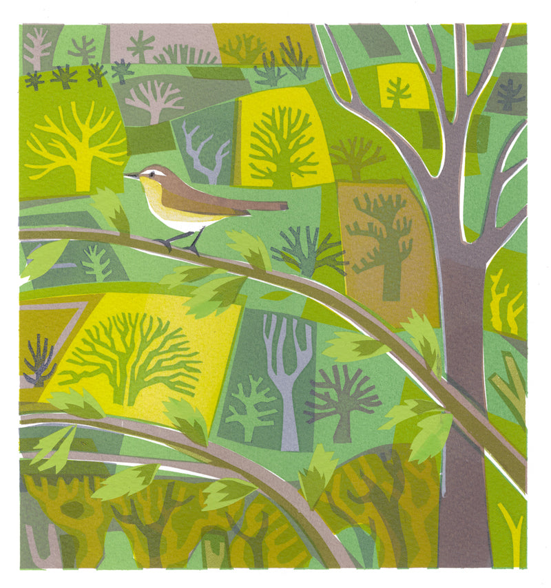 Chiff Chaff