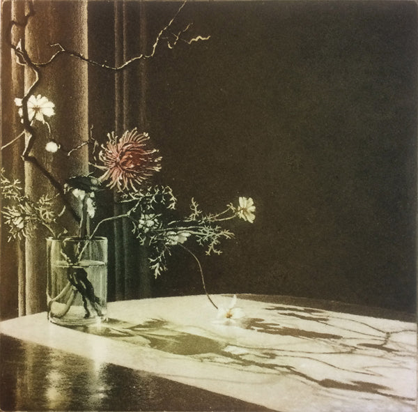 Window Light XVI