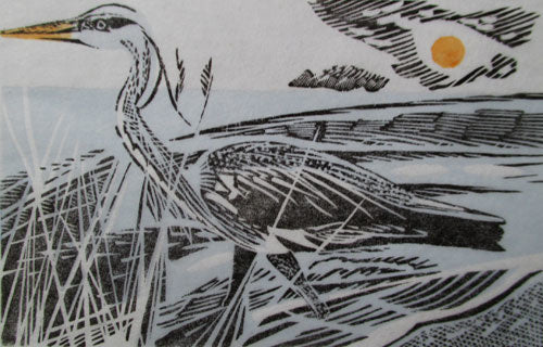 Heron