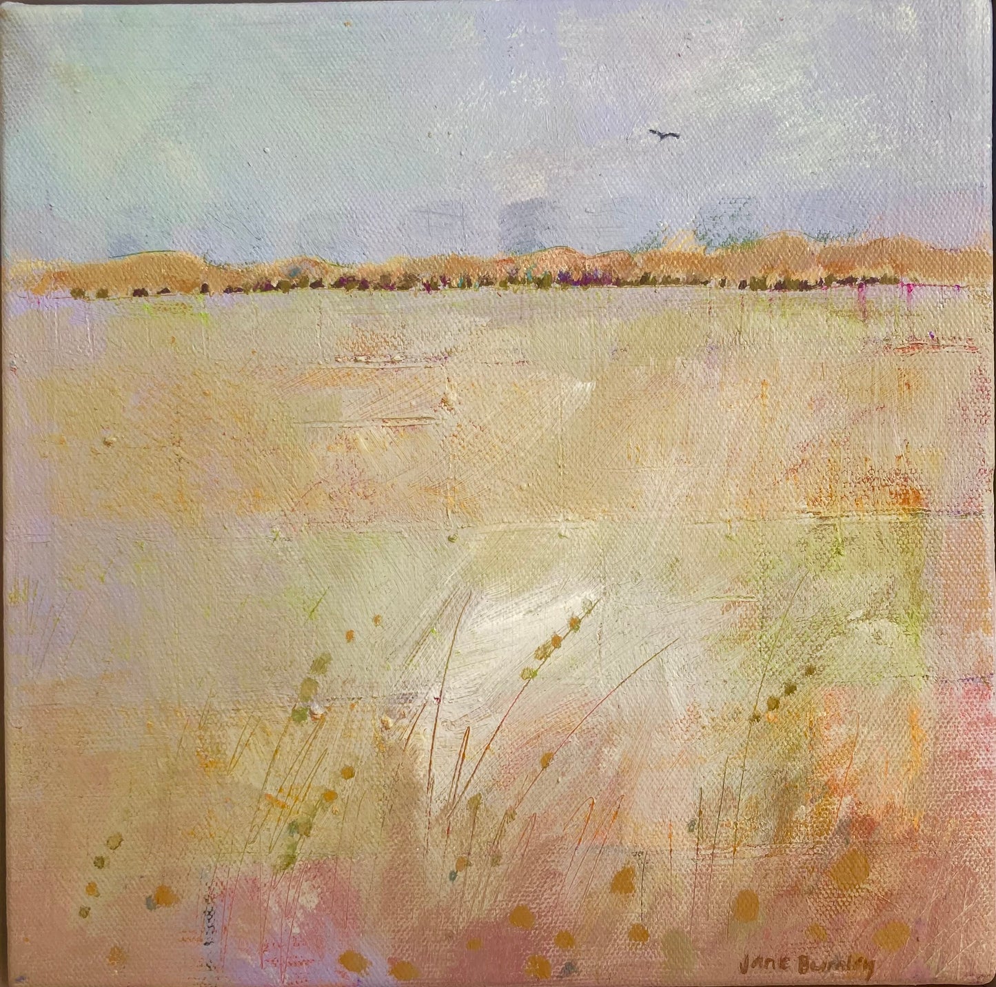 Bird Hovering over fields