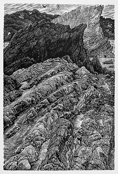 Rock Pools, North Devon