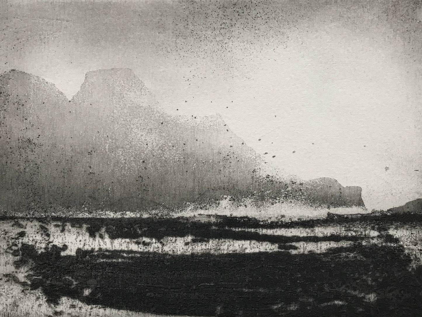 North Gut Grassholm Island