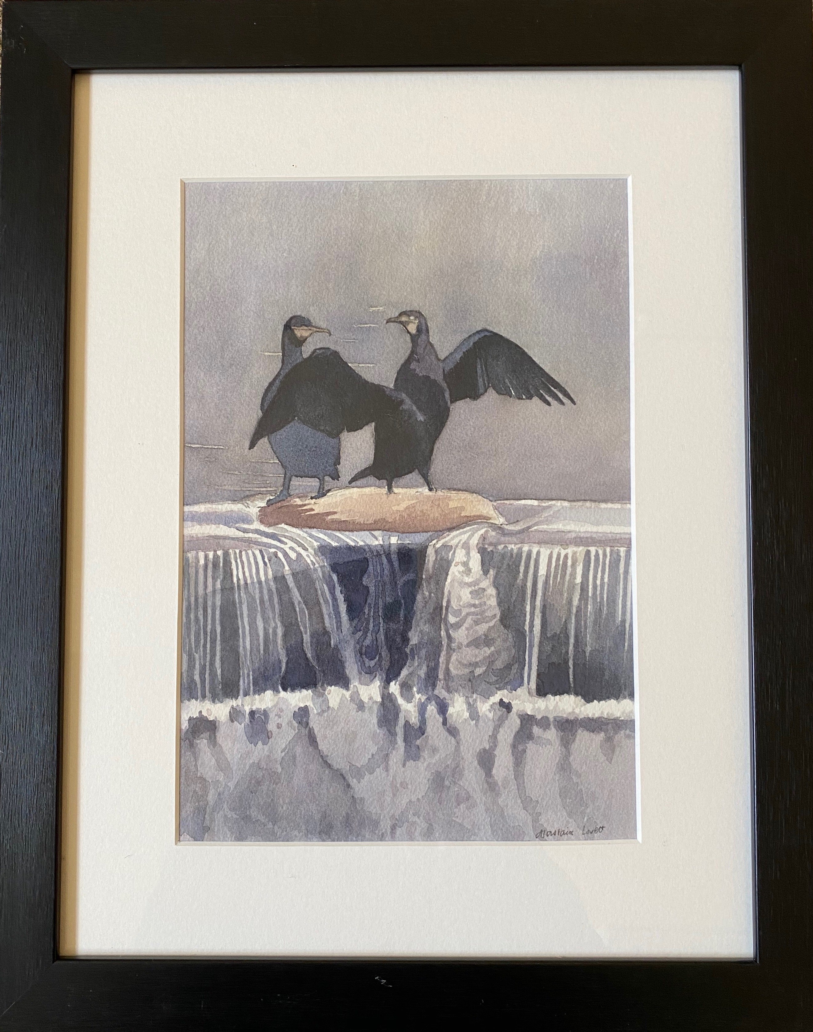 Alastair Lovett, Cormorants