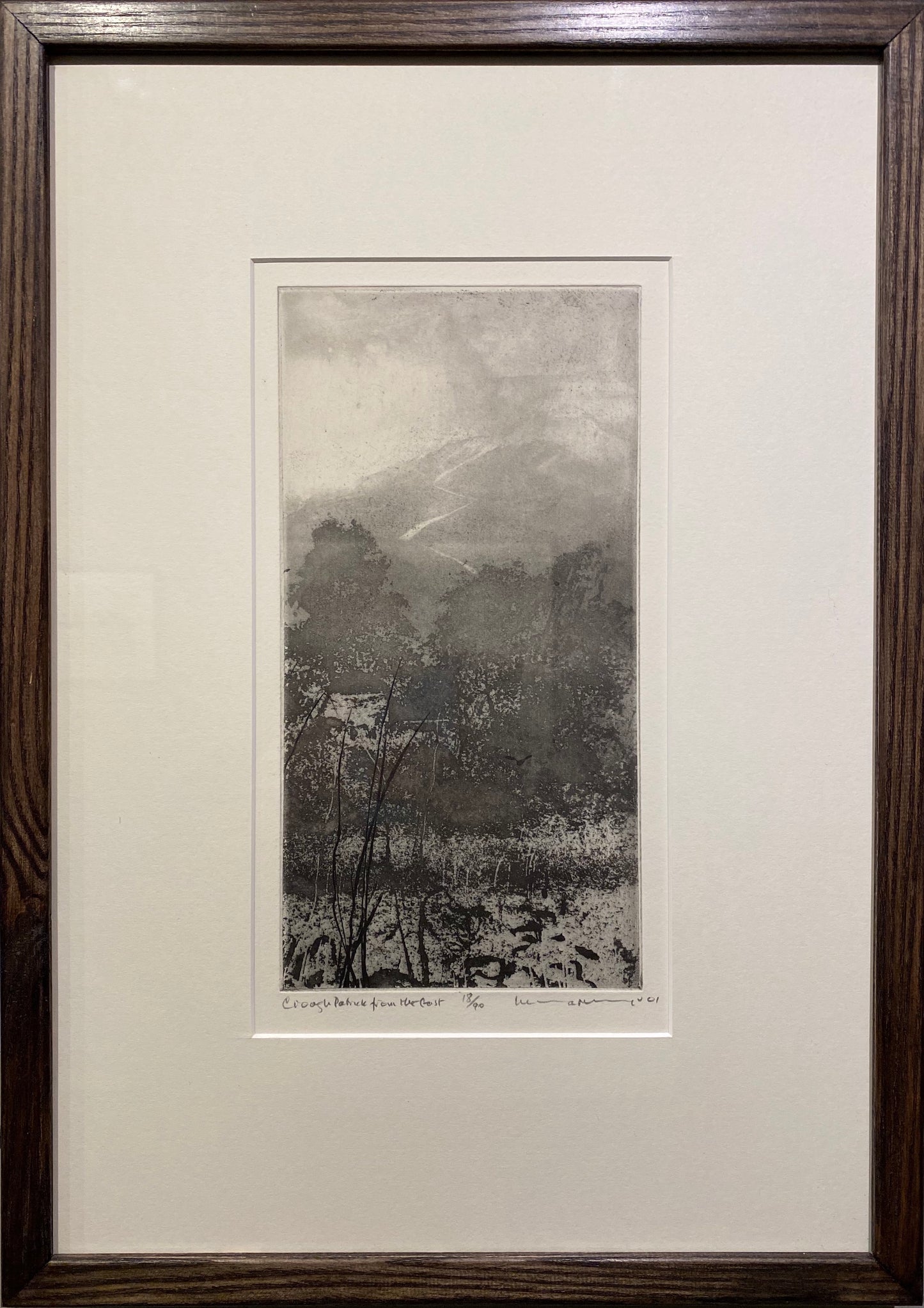 Croagh Patrick From The East