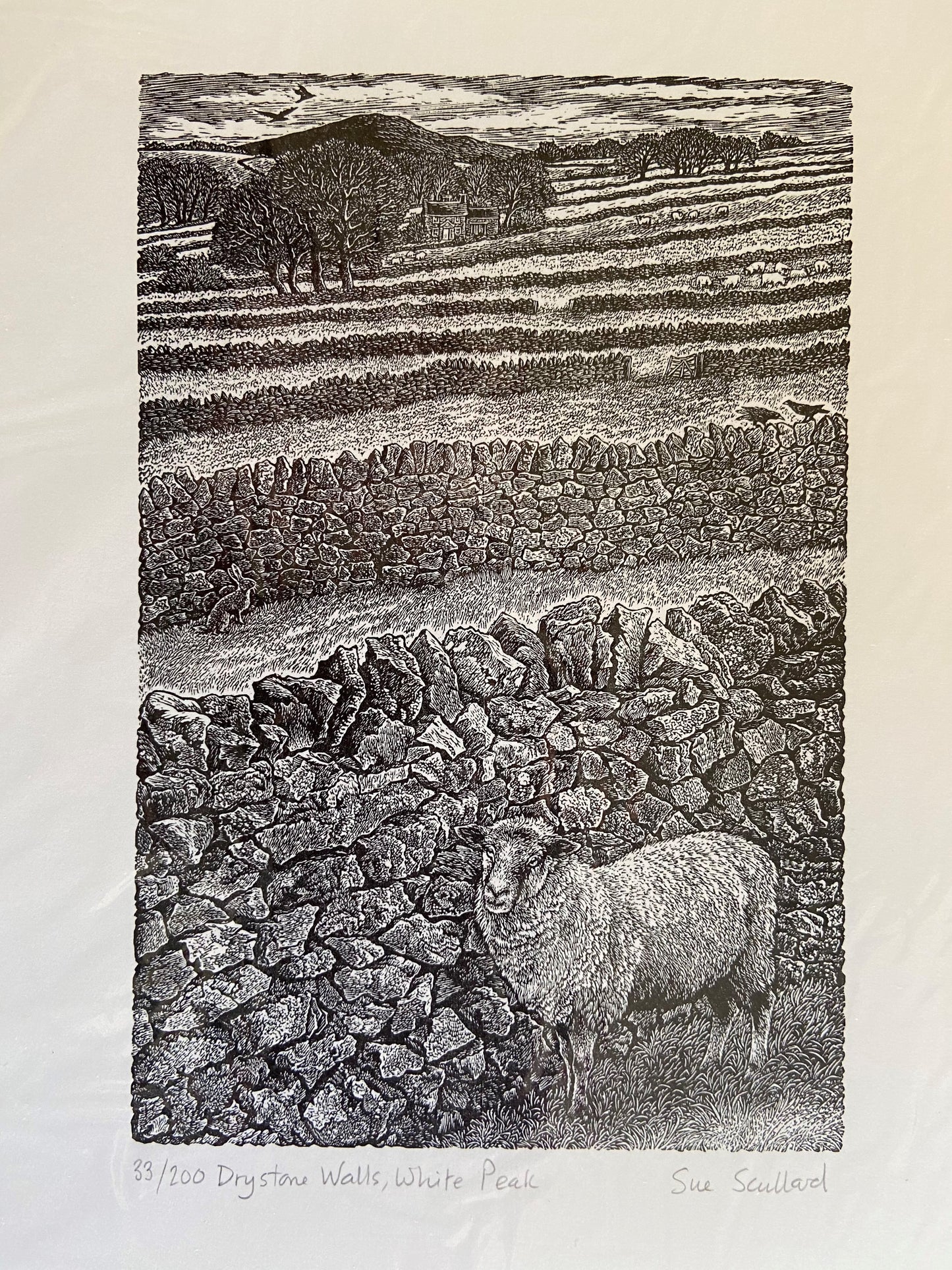 Drystone Walls, White Peak