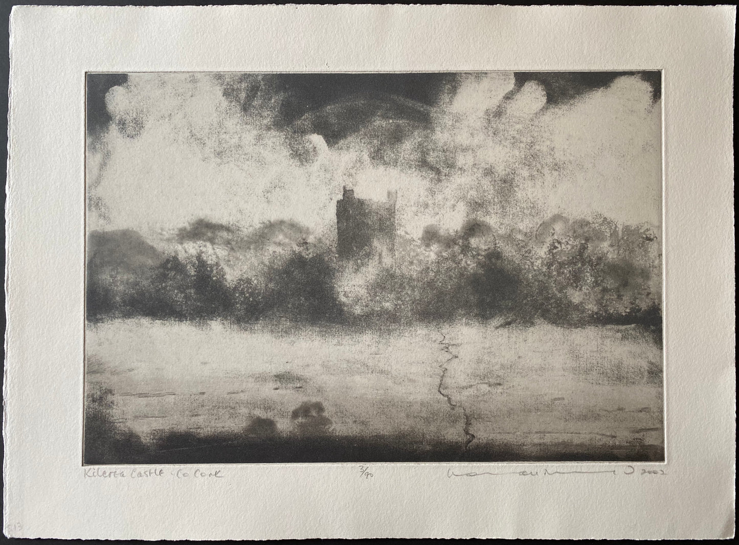 Kilcrea Castle, Co. Cork