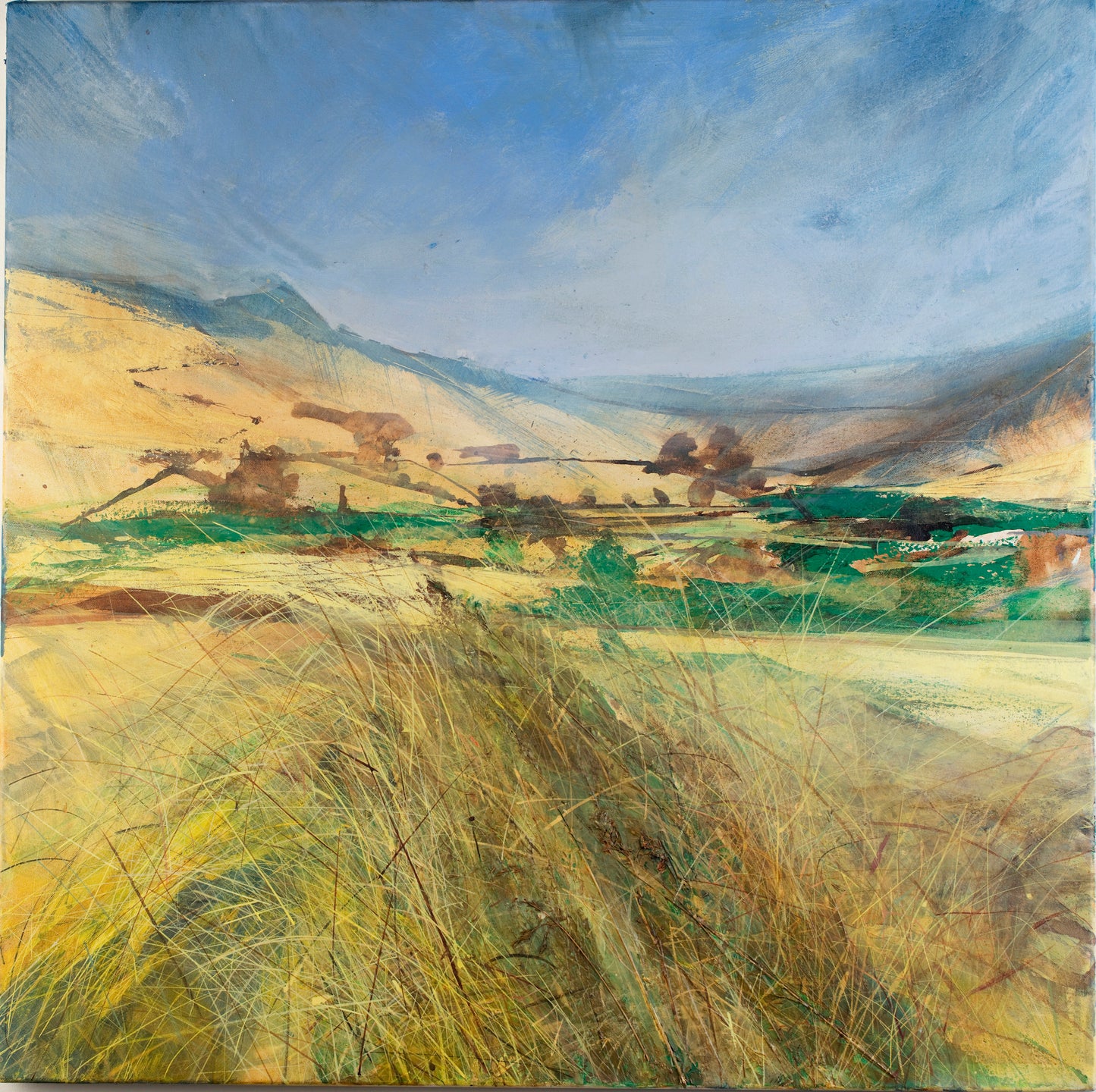 Late Summer above Hetton, on Fleet's Lane