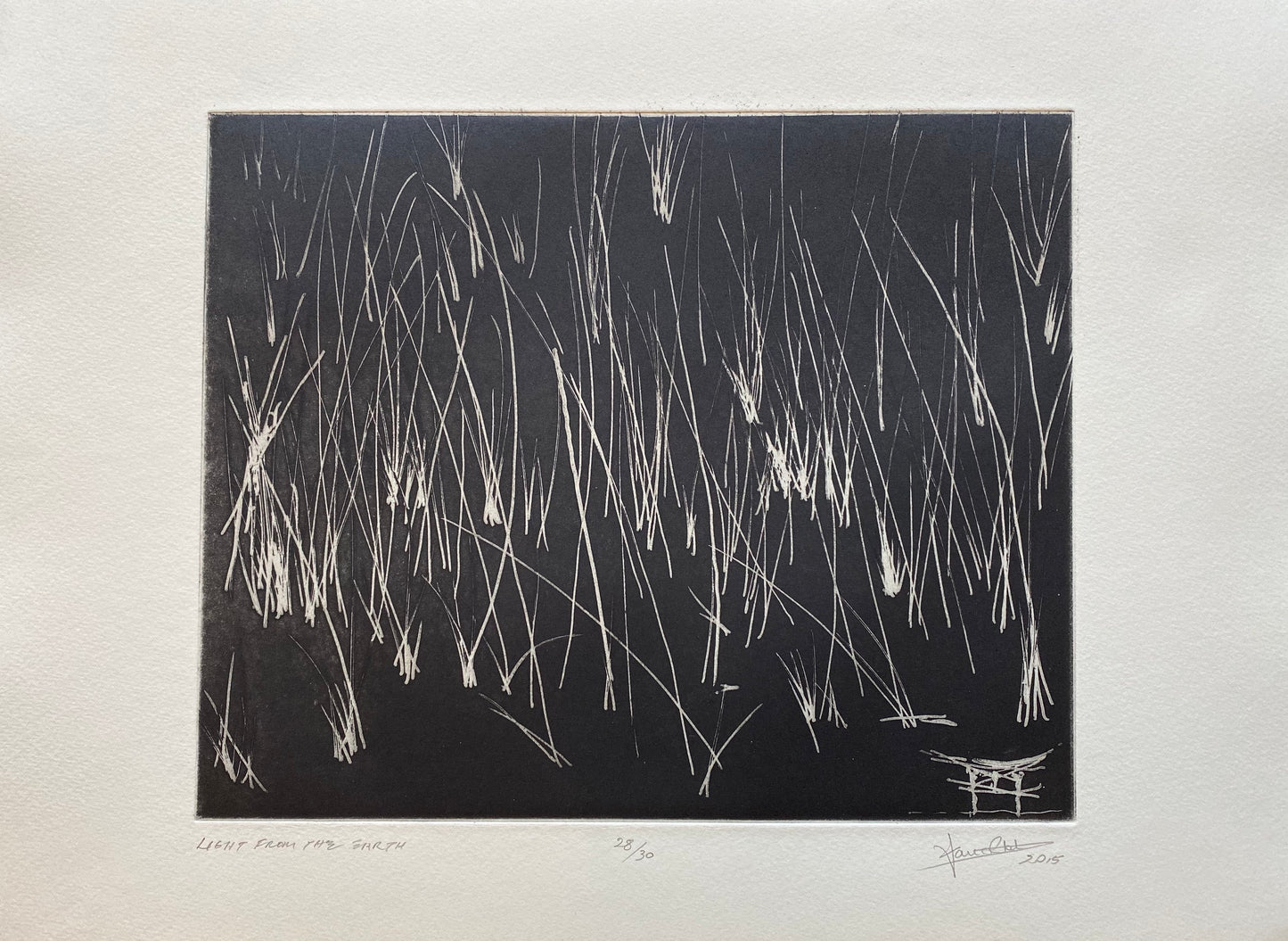 Light From The Earth