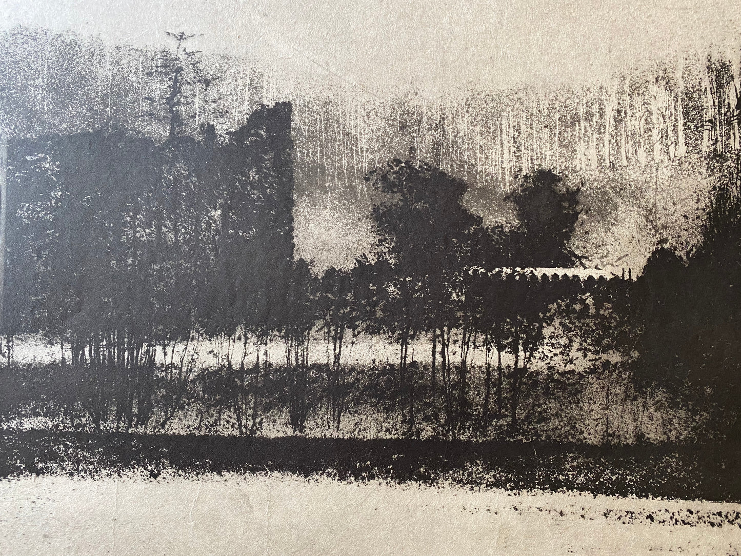 Morning Picture, Wardour Castle