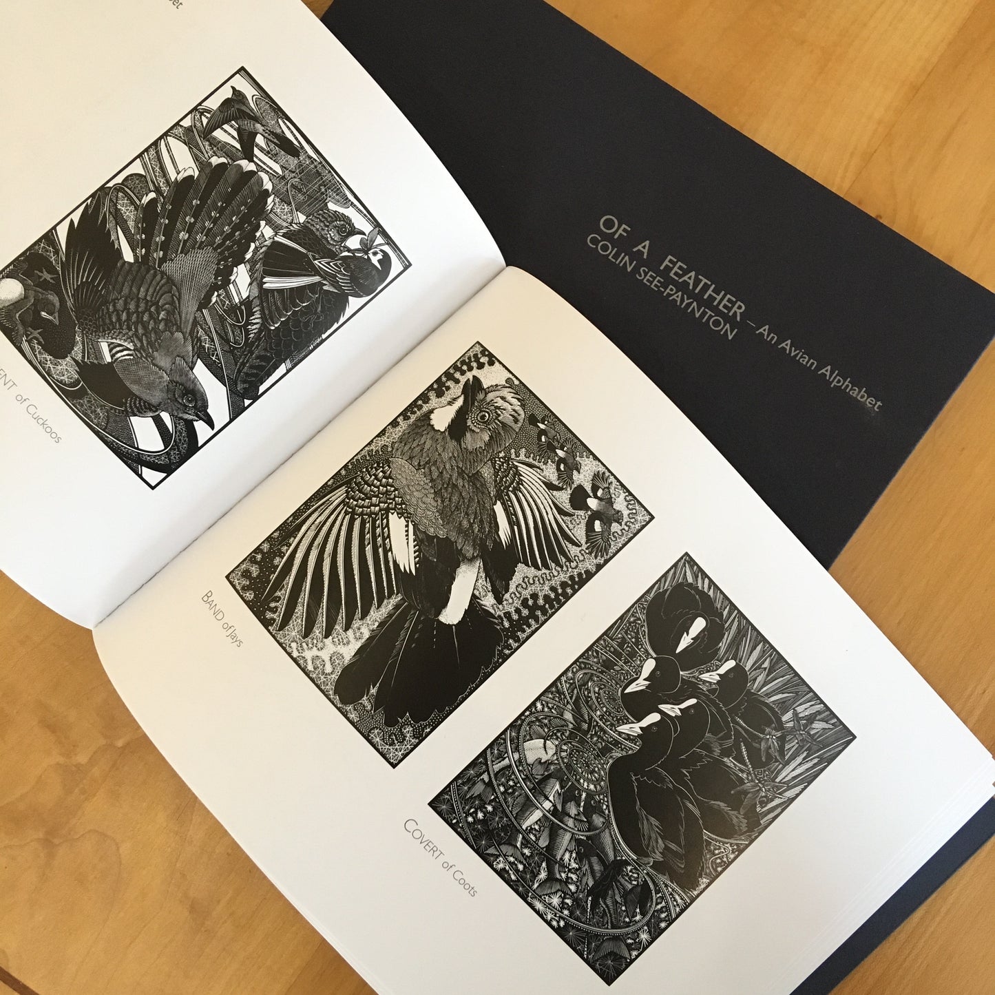 Of A Feather - softback