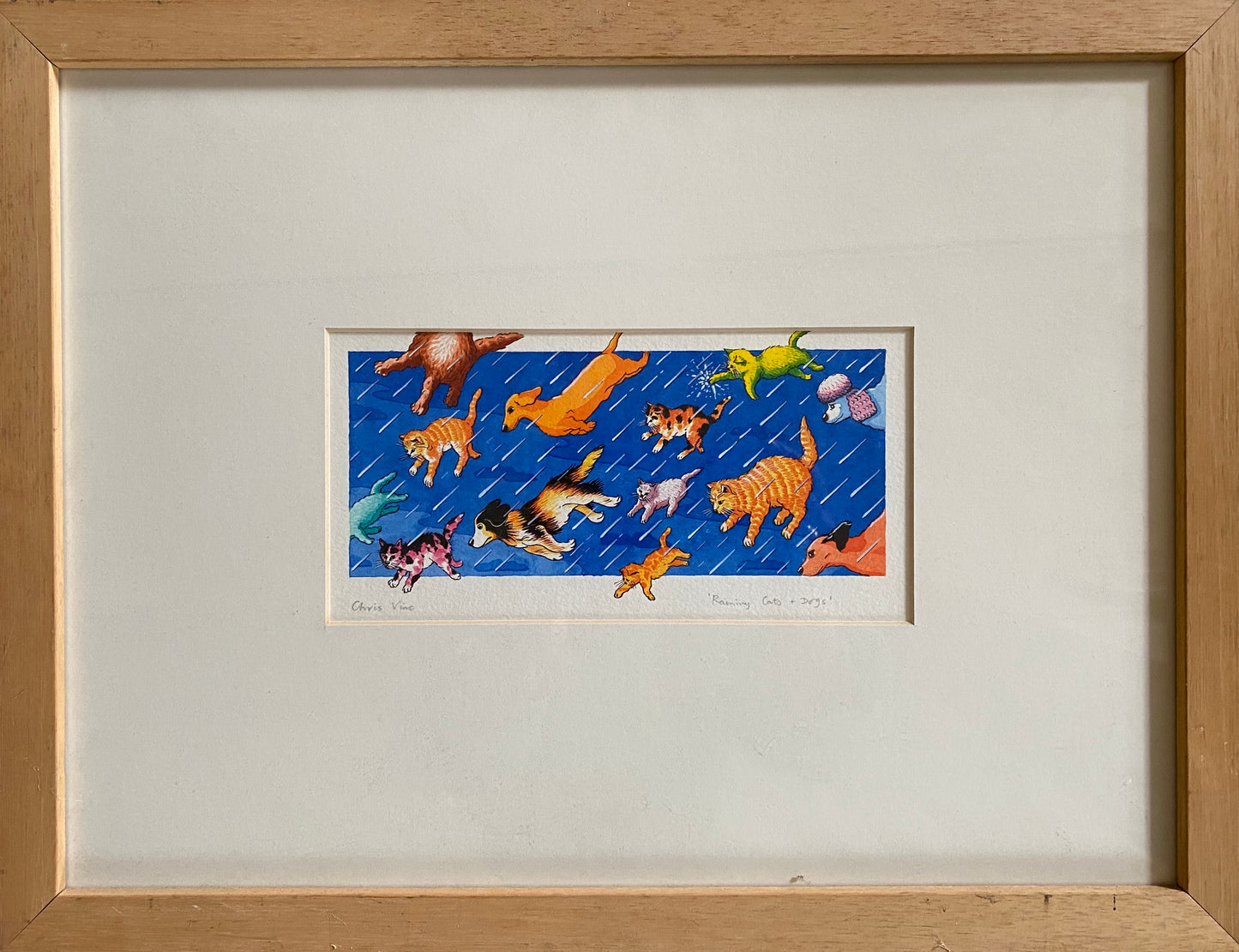 Raining Cats And Dogs