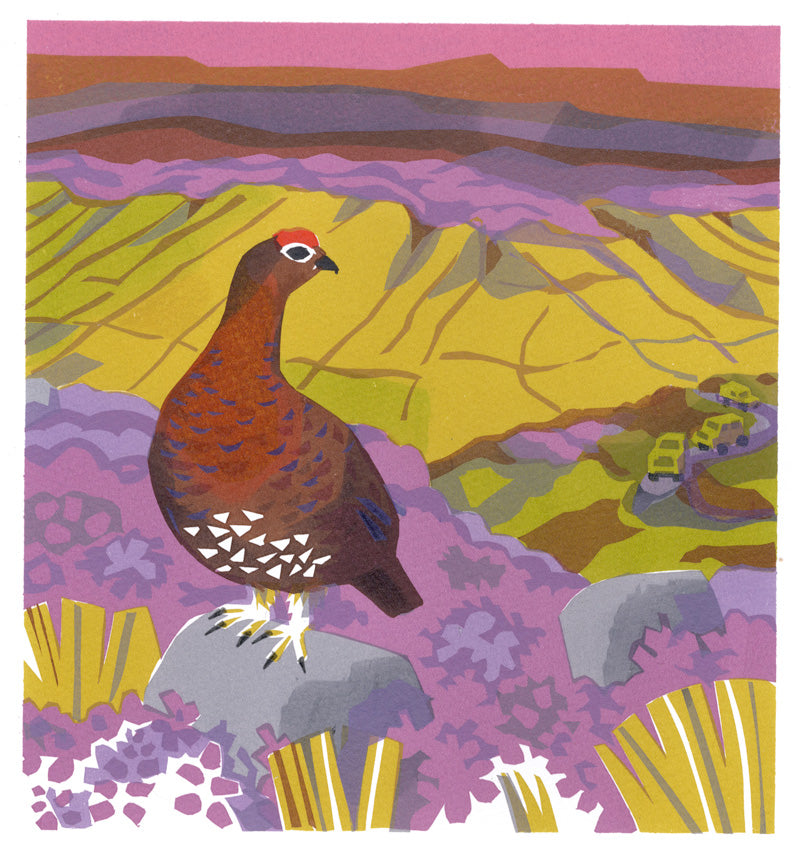 Red Grouse