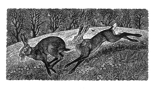 Running Hares