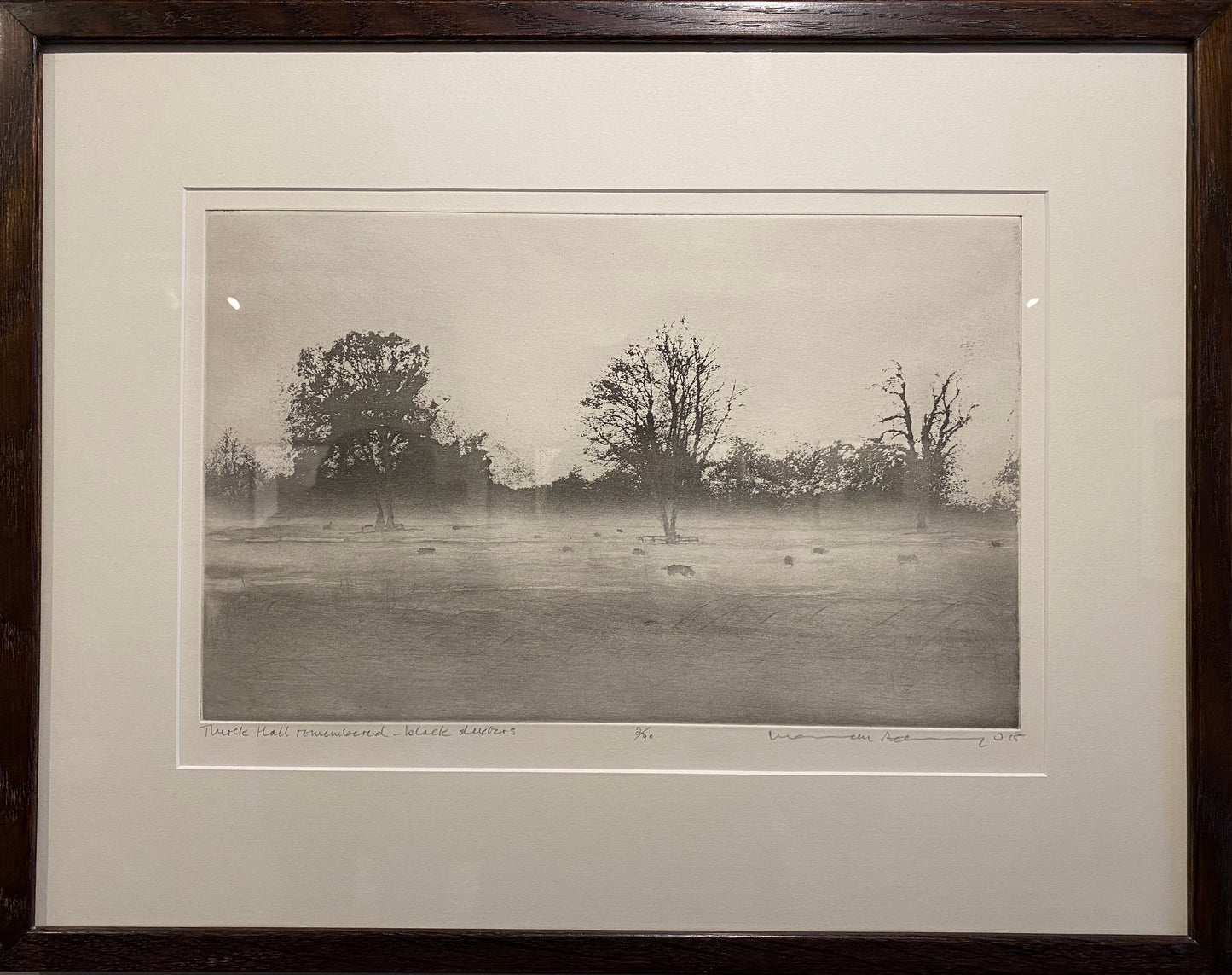 Thirsk Hall Remembered, Black Dexters