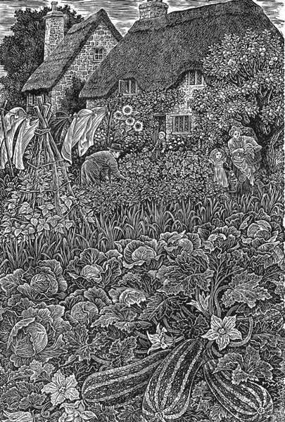 Vegetable Garden Lark Rise