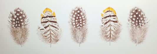 Pheasant and Guinea Fowl