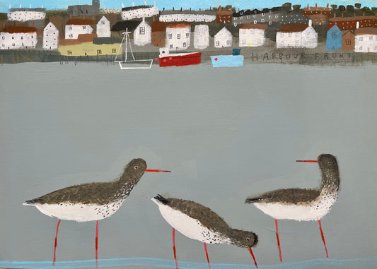 A Stand of Redshanks