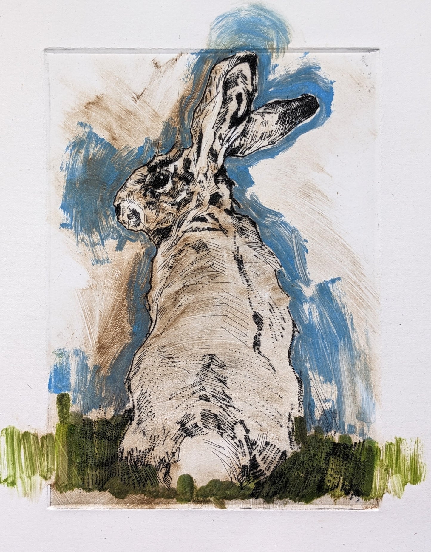 Summer Hare