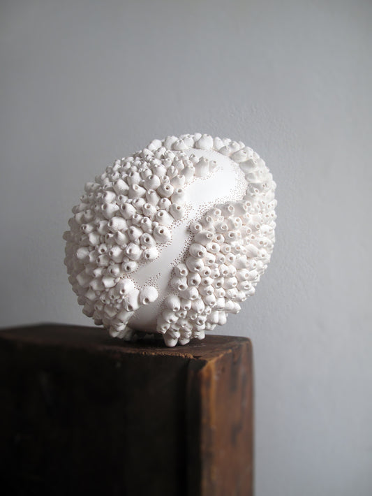 Encrusted
