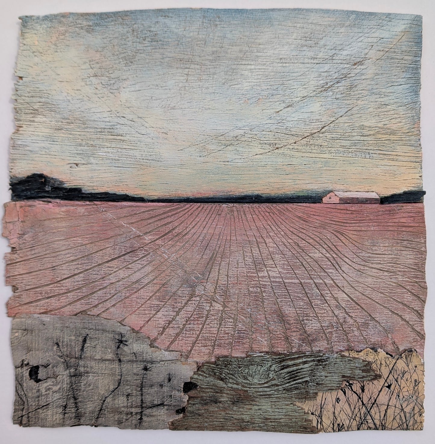 Field in Sunset