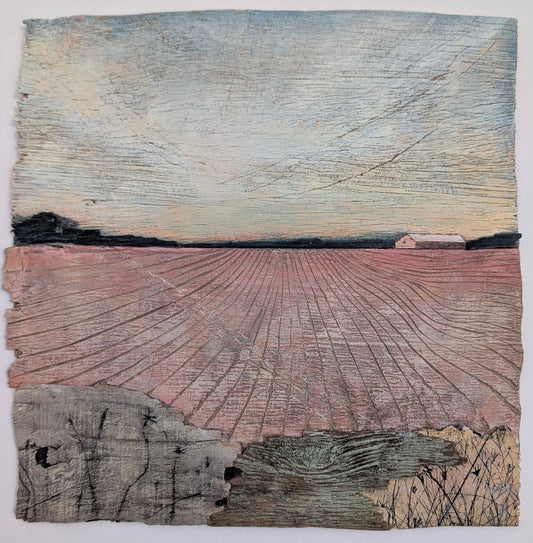 Field in Sunset