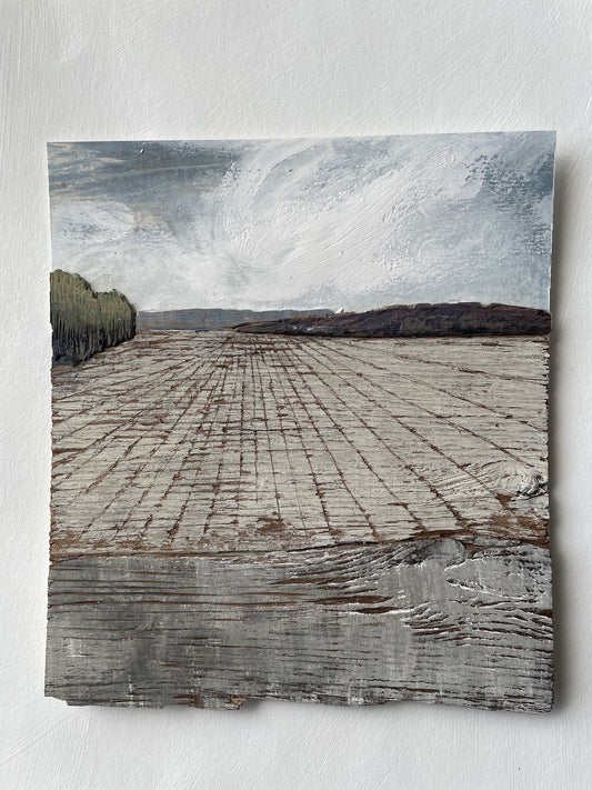 Fields II