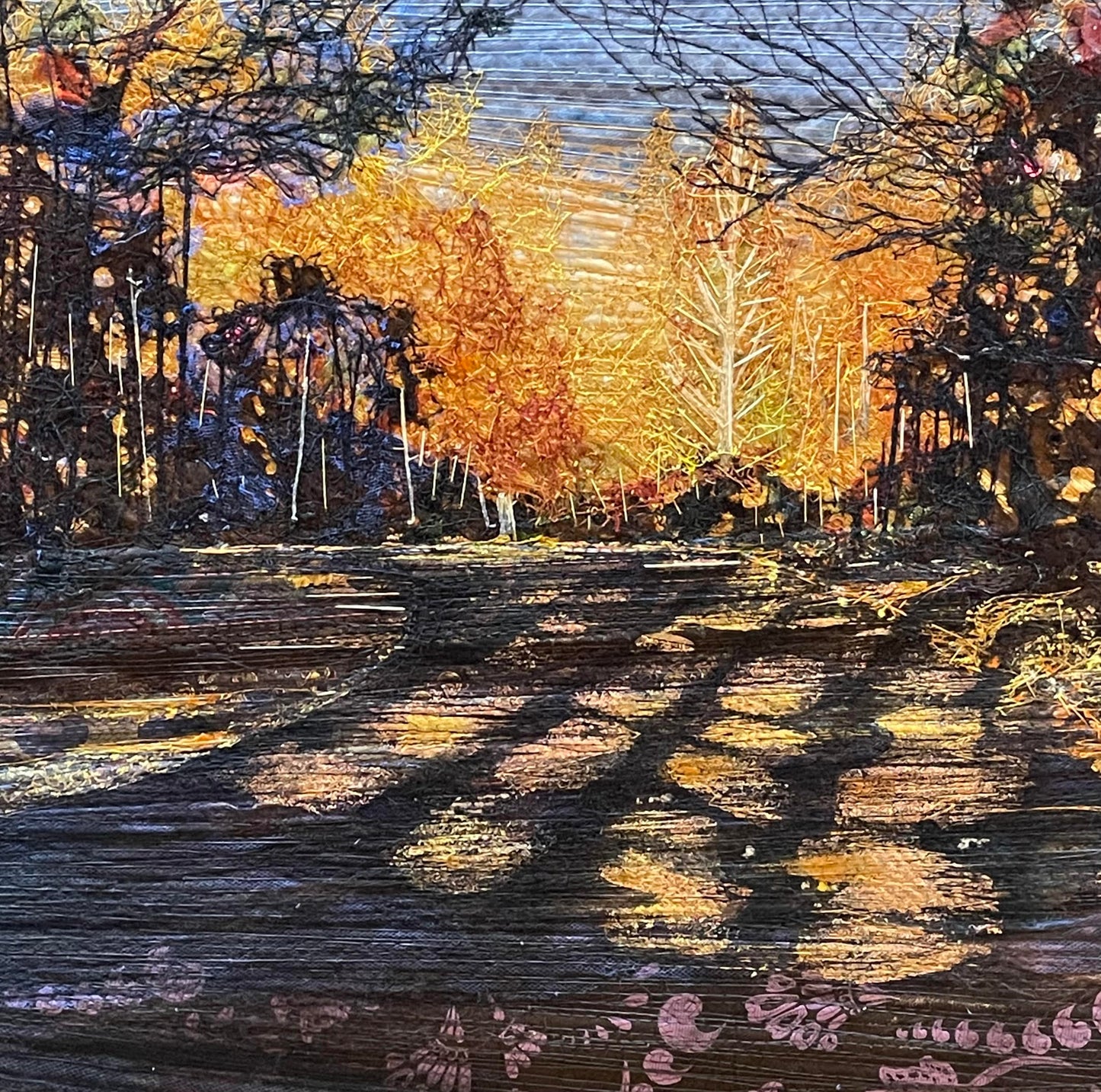 Forest of Autumn Light